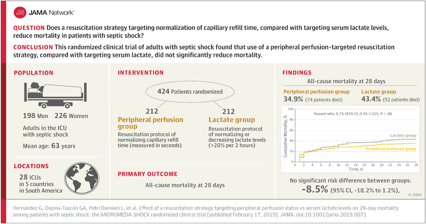 Graphical Abstract